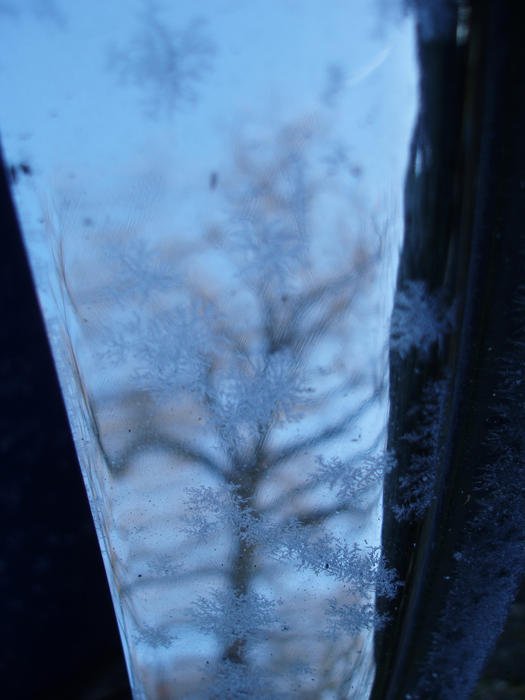 frost crystals and a tree reflection on a chrome strip