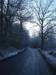 3460-frosty lane
