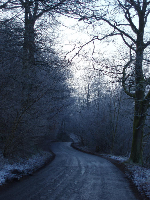 a rural lane on an icy winter morning