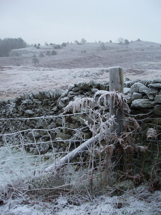winter scene: a wire fence, stone wall and frozen common