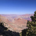 3157-grand canyon desert view
