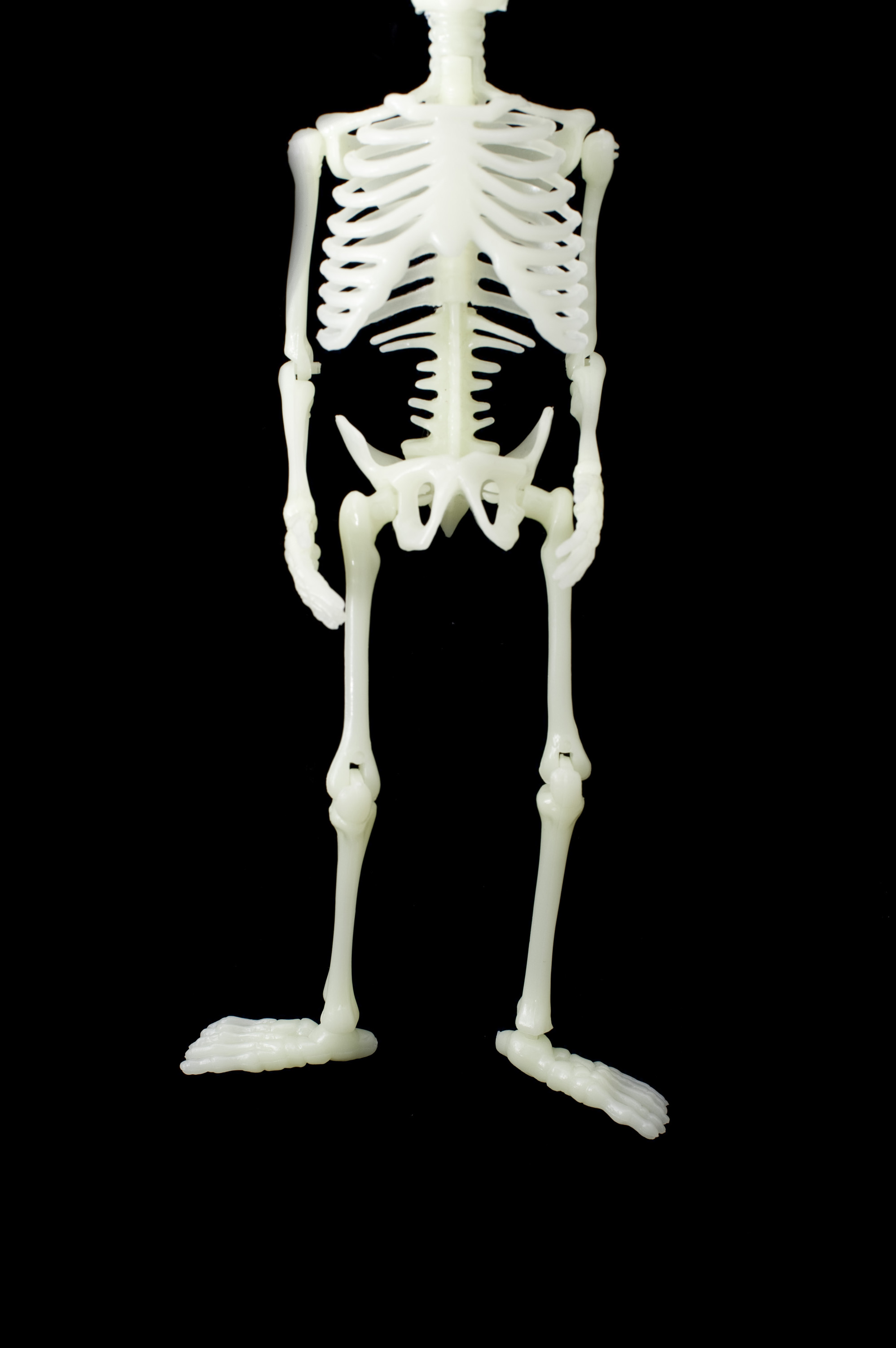 Bones gone. Аноним скелет. Скелет человека стенд.