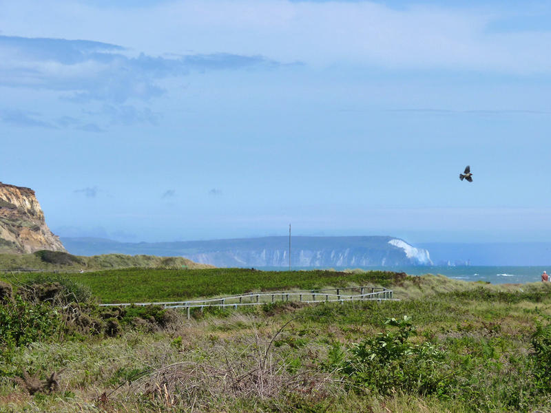 <p>&nbsp;Looking across the lower slopes of Hengistbury Head with the IoW and its &quot;Polar Bear&quot; in the background.Jpg.</p>