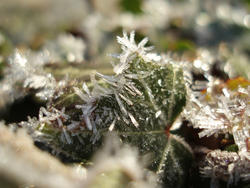3482-ice crystals
