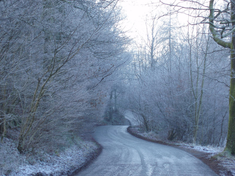 a narrow rural road on a frosty winter day