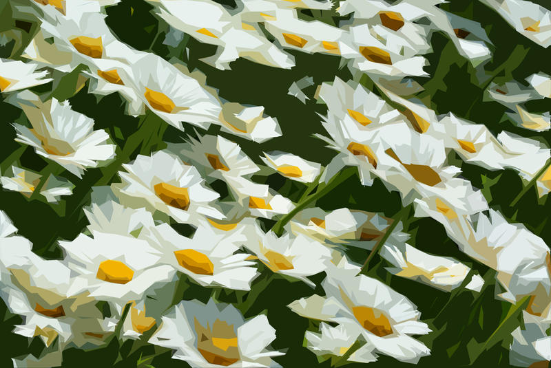 <p>Illustrated Daisies</p>Illustration Of Daisies In A Field