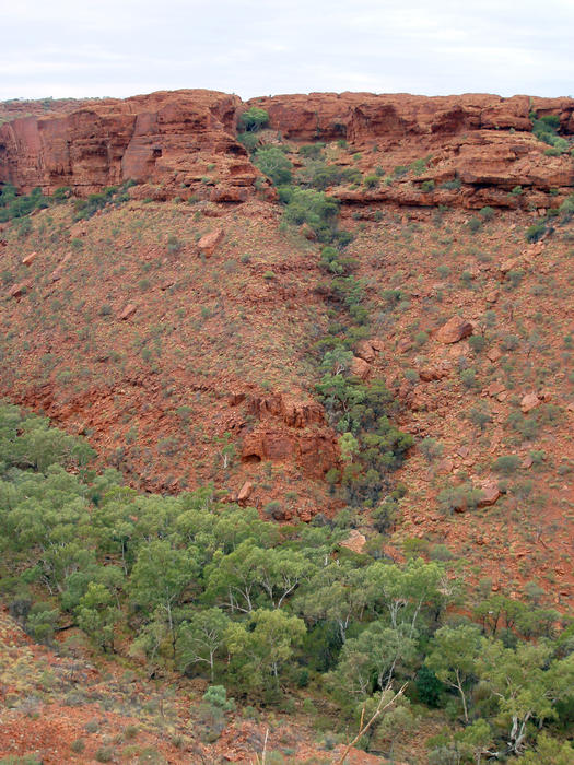 rugged landscape of kings canyon, northern territory, australia