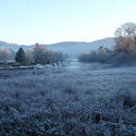 3494-frosty meadow