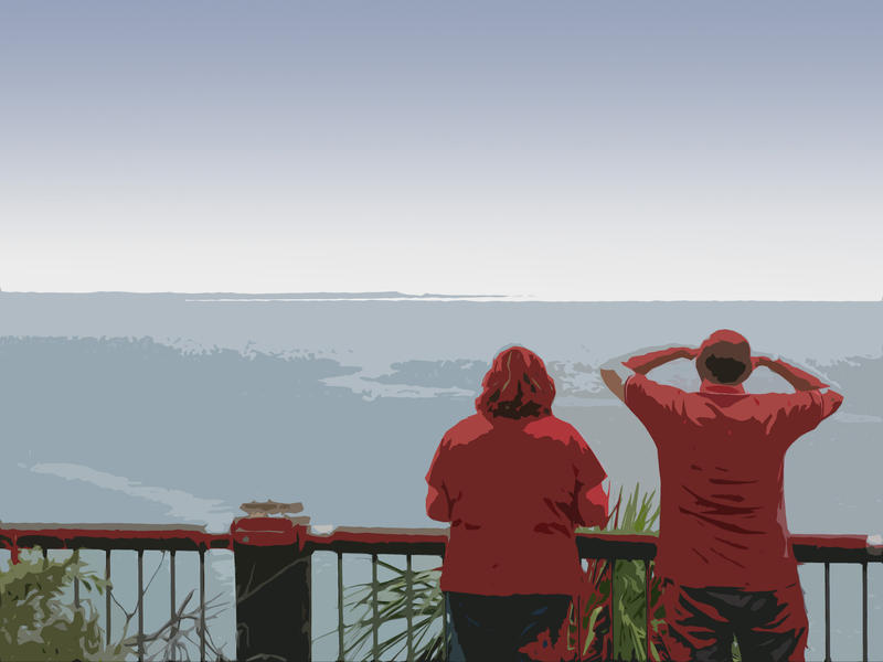illustrated picture two people looking out from a vista point