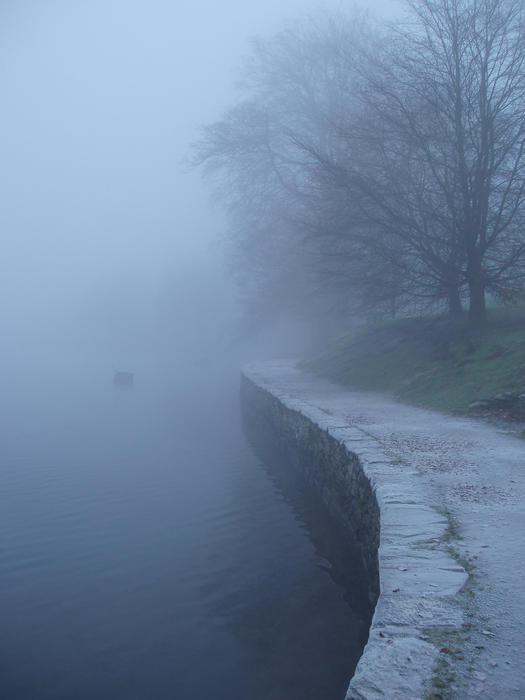 a misty atmospheric lakeside scene