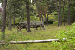 4168-Old Wagon In Field