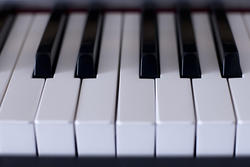 4021-8 piano keys