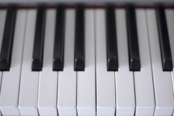 4023-piano keys