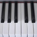 4023-piano keys