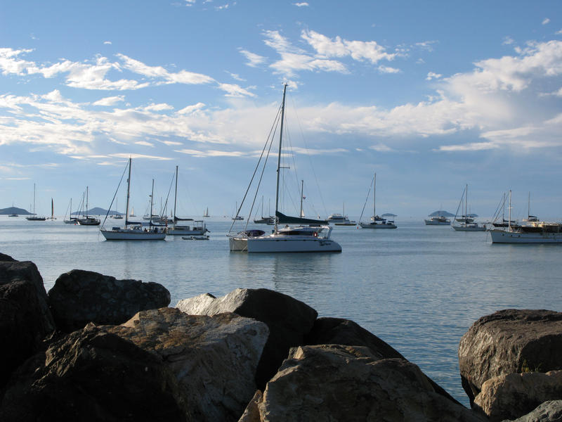 boats moored and anchored on pioneer bay