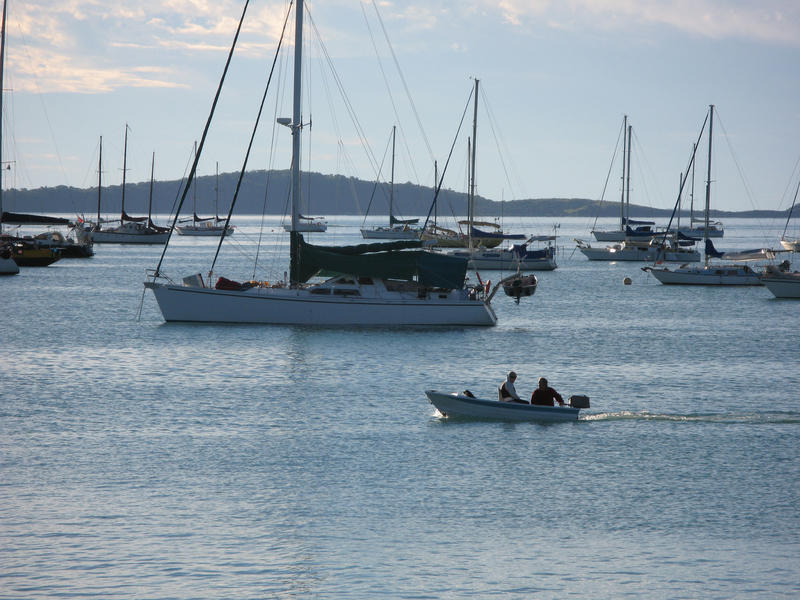 boats moored in pioneer bay off the shores of airlie beach
