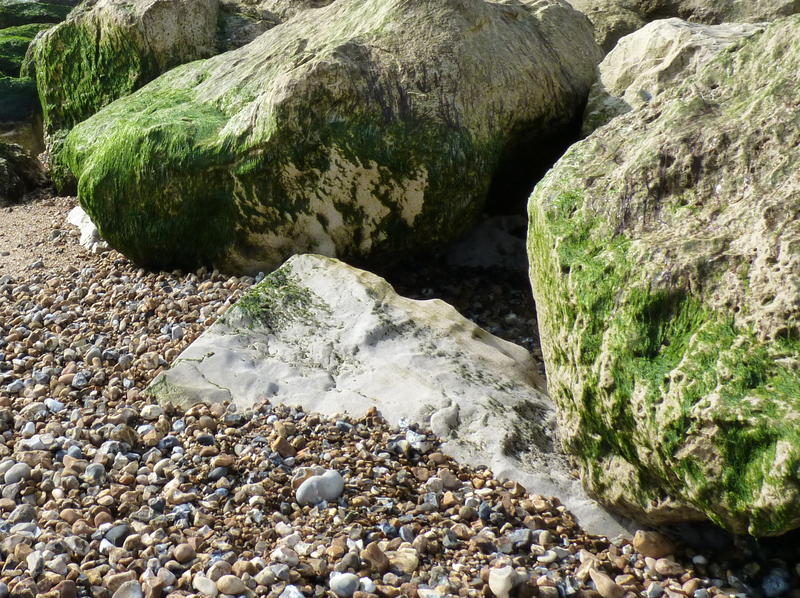 <p>&nbsp;Rocks on the beach at low tide</p>