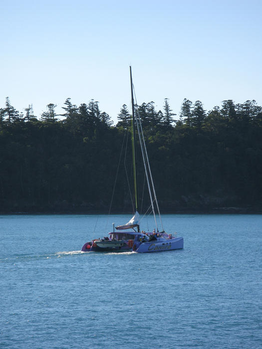 camira is an 85 foot long sailing catamaran: editorial use only