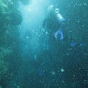3355-divers underwater