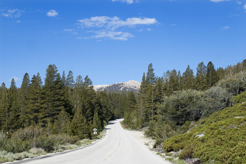 a drive through the forest lined roads of the sequoia national park, california,