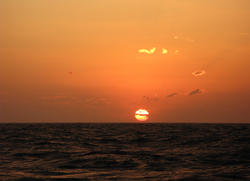 3384-tropical sunset