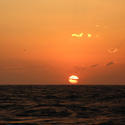 3384-tropical sunset