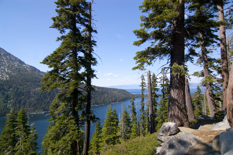 Lake tahoe through pine trees forest around the edge of the lake