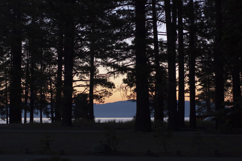 the last light of the day through the trees on the side of lake tahoe