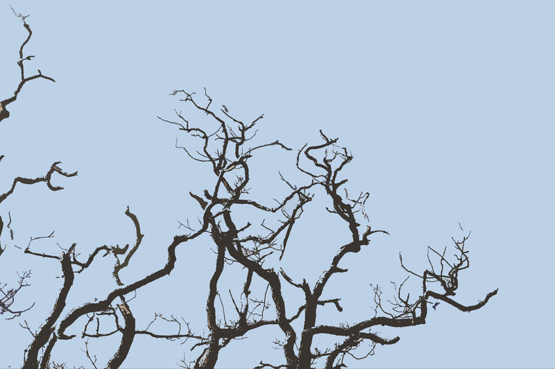 cutout effect image of winter tree branches on a blue background
