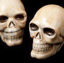2997-a pair of skulls