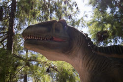 3240-tyrannosaurus rex