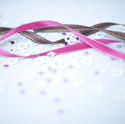 3824-wedding ribbons
