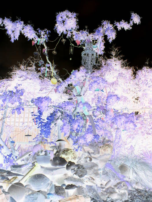 <p>abstract garden negative</p>
