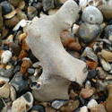 4602   beach pebbles