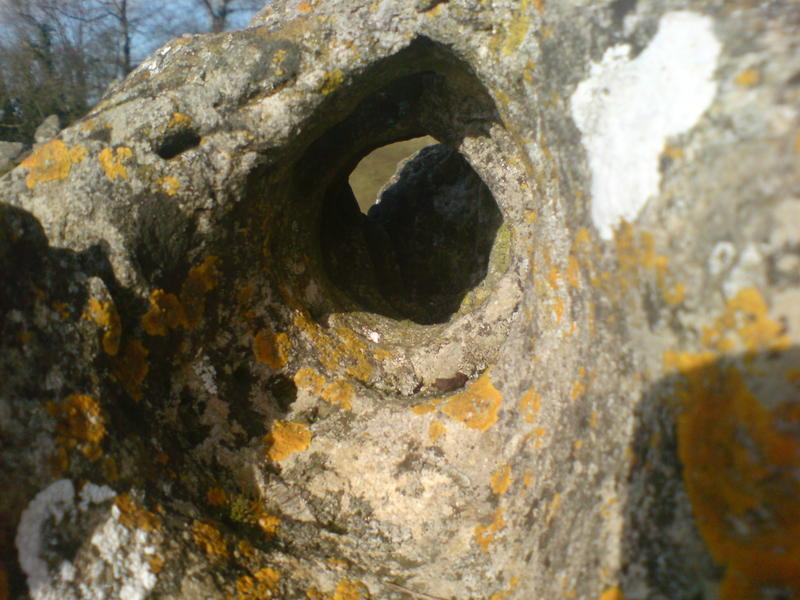 <p>blackhole lichen stone</p>