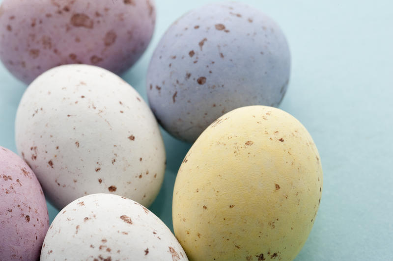 Closeup of five colourful speckled Easter Mini Eggs in sugared candy on a blue background