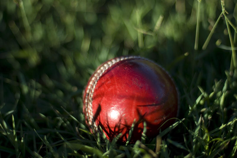 a cricket ball in long grass at the side of the field