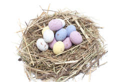 5062   Easter Egg Nest