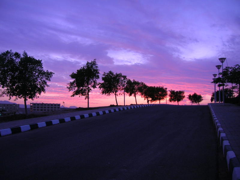 <p>egypt sunset</p>