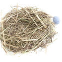 5064   Empty Decorative Nest