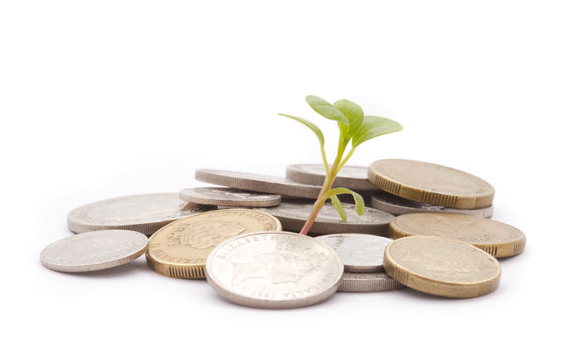concept image: financial growth, a pile of coins and a seedling growing from them