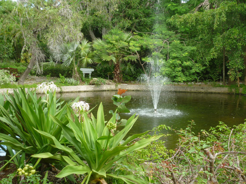 tropical gardens grand bahama island