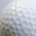 4833   closeup golf ball