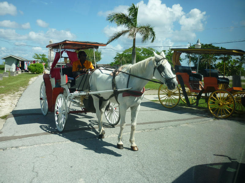 transport for a hot day in the bahamas
