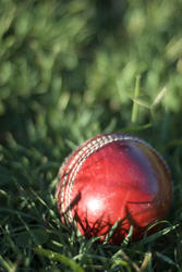 4842   traditional cricket ball
