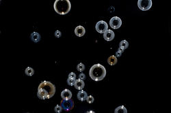 4733   clear bubbles