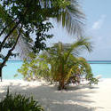 4428   maldives beach