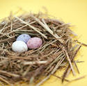 5071   Mini Egg Nest