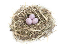5074   Nest And Pink Eggs