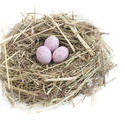 5074   Nest And Pink Eggs